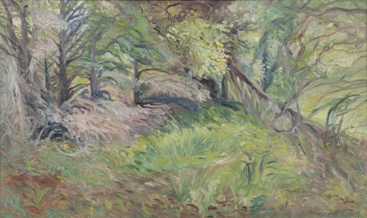 Wooded Scene