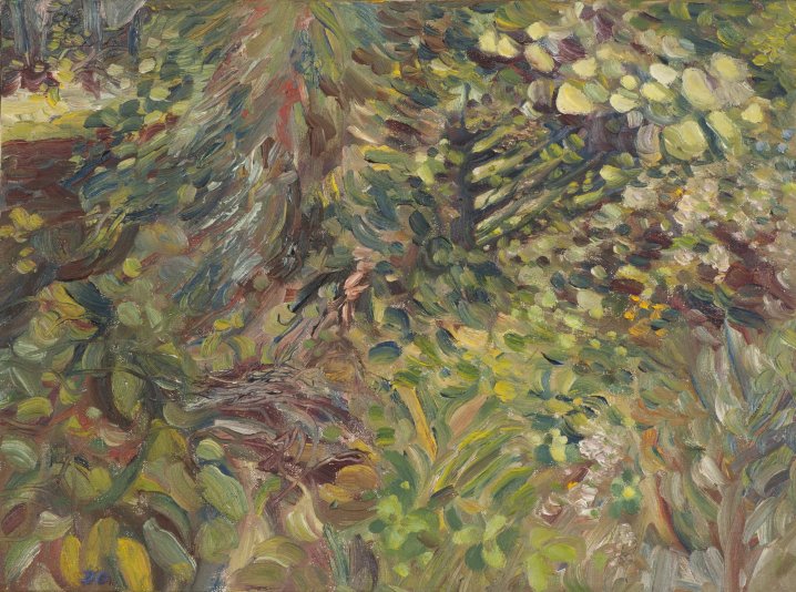 Honeysuckle and Cedars I