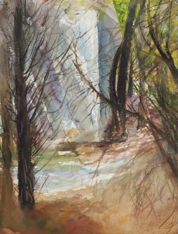 Evening Light