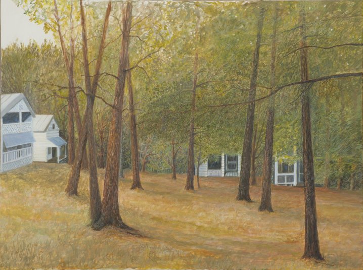 Cabin View II